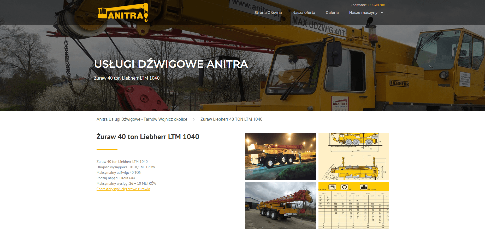 Anitra Usługi Dźwigowe - zdjęcie 3